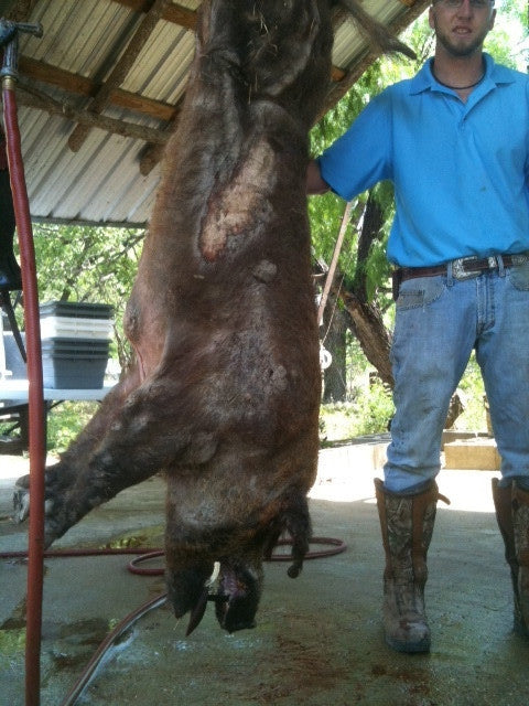 1 Day $275 Hog Hunt, Shoot Unlimited Hogs & Sizes ($375 Value)