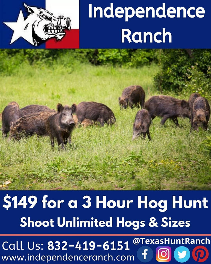 Thinking Where To Deer Hunt In Texas? Here Is Something For You!