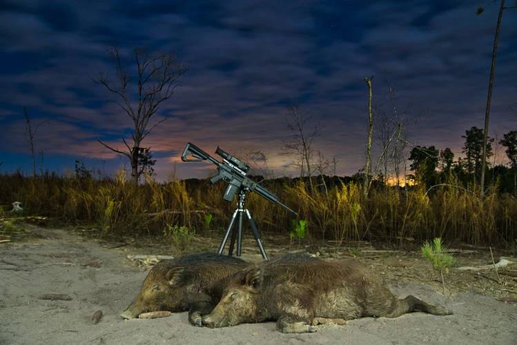 Tips To Gear Up Yourself Before Going On Hog Hunting in Central Texas
