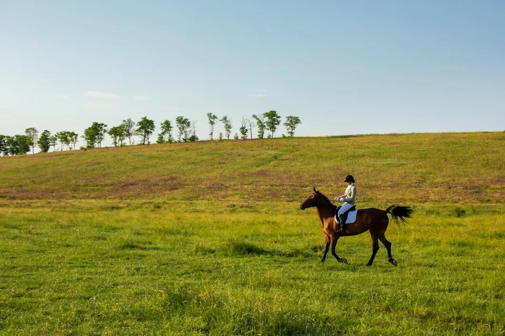 Top Reasons to Choose Independence Ranch for Your Next Hunt