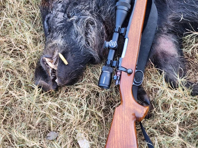 Pick These Best Hog Hunting Guns For Your 2023 Hunting Trip