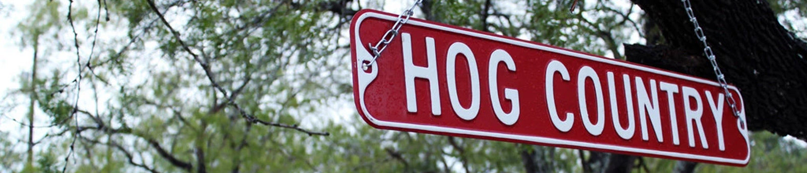 Affordable Top Hunting Packages in Texas | Independence Ranch