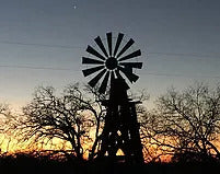 Wild Hog Hunting Texas | Boar and Pig Hunt - Independence Ranch